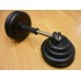 Гантель наборная/разборная 30 кг (ф26 мм) MB Barbell Weidernut в Москве