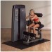 Пресс-спина Body Solid Pro-Dual DABBsf в Москве Пресс-спина Body Solid Pro-Dual DABBsf в Москве