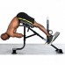 Гиперэкстензия Powertec Dual Hyperextension / Crunch P-HC10 в Москве Гиперэкстензия Powertec Dual Hyperextension / Crunch P-HC10 в Москве