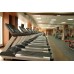 Беговая дорожка AeroFIT Pro 9900T в Москве Беговая дорожка AeroFIT Pro 9900T в Москве