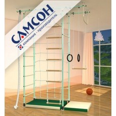 Спортивно-игровой комплекс для дома Самсон 43 в Москве Спортивно-игровой комплекс для дома Самсон 43 в Москве