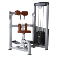 Торс-машина Bronze Gym D-011 в Москве Торс-машина Bronze Gym D-011 в Москве