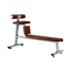 Скамья для скручиваний горизонтальная Bronze Gym J-035 в Москве