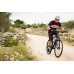Велосипед Giant Roam 1 Disc (2016) в Москве