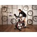 Велоэргометр Wattbike Pro в Москве Велоэргометр Wattbike Pro в Москве