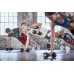 Гантели обрезиненные Reebok, 6 - 20 кг (пара) в Москве Гантели обрезиненные Reebok, 6 - 20 кг (пара) в Москве