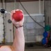 Шары для подтягиваний Body-Solid SR-CB Cannonball Grip Balls в Москве Шары для подтягиваний Body-Solid SR-CB Cannonball Grip Balls в Москве