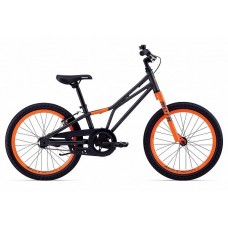 Детский городской круизер GIANT Motr C/B 20 (2019)стальной-серый в Москве Детский городской круизер GIANT Motr C/B 20 (2019)стальной-серый в Москве