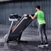Беговая дорожка Kettler Track S8 с системой амортизации ENERGY DECK (7886-800) в Москве